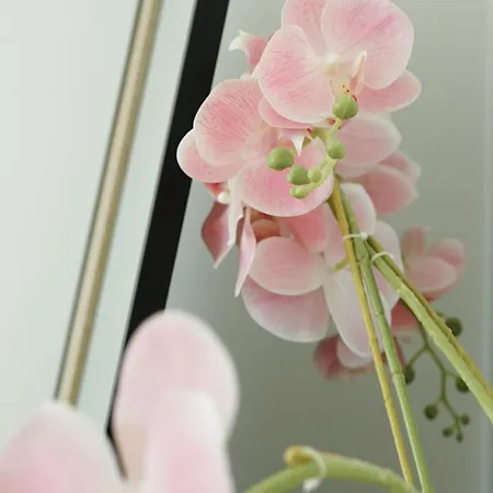 Le Standing, Hyper Centre T2 Daire