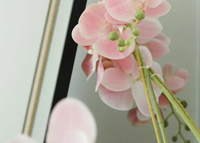 Le Standing, Hyper Centre T2 Lägenhet