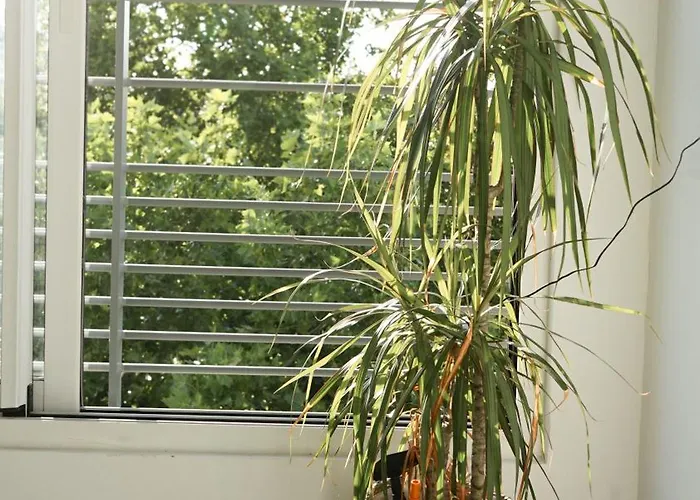 Lägenhet Le Standing, Hyper Centre T2 *